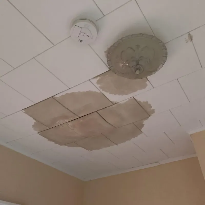 Ceiling Water Damage Repair in Alexandria, SD